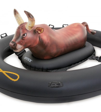 Intex Inflatable Pool Water Slide, Red & Intex Inflatabull Bull-Riding Float